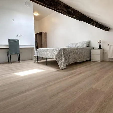 Frere-michel 2 Habitación en casa particular Lieja